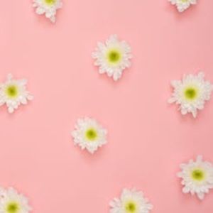 Meet your Posher, Taleah